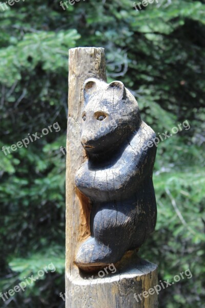 Mt Lemmon Arizona Bear Wood Carving