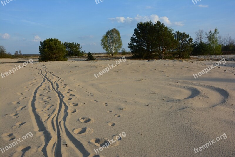 Sand Way Dune Traces Free Photos