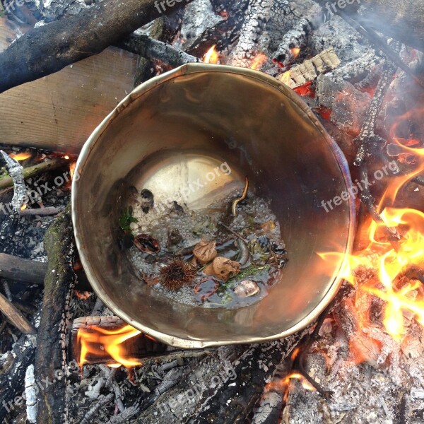 Witch's Potion Cauldron Fire Free Photos