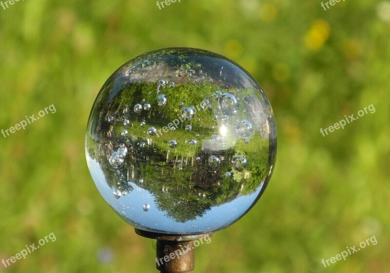 Glass Ball Mirroring Topsy-turvy World Garden Nature