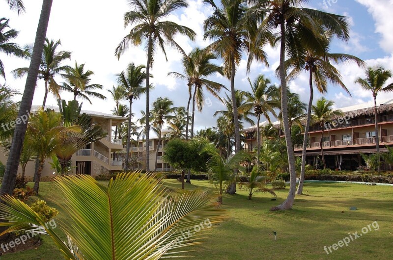 Punta Cana Caribbean Palms Hotel Nature