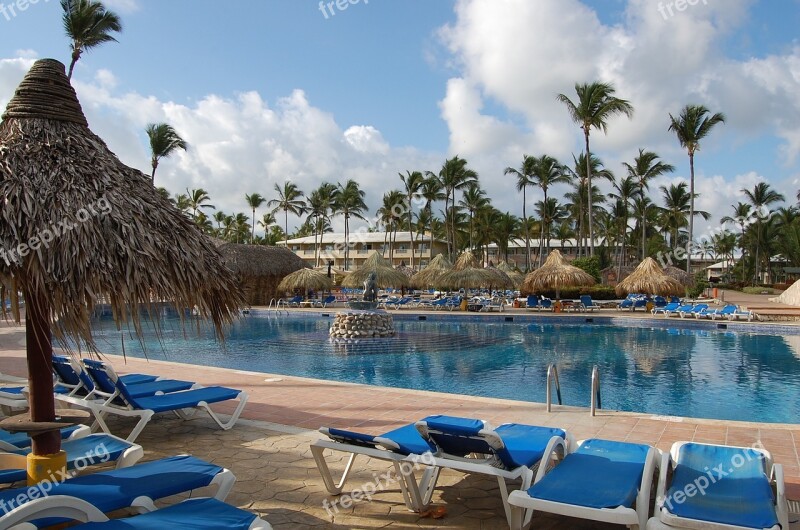 Punta Cana Caribbean Palms Hotel Nature