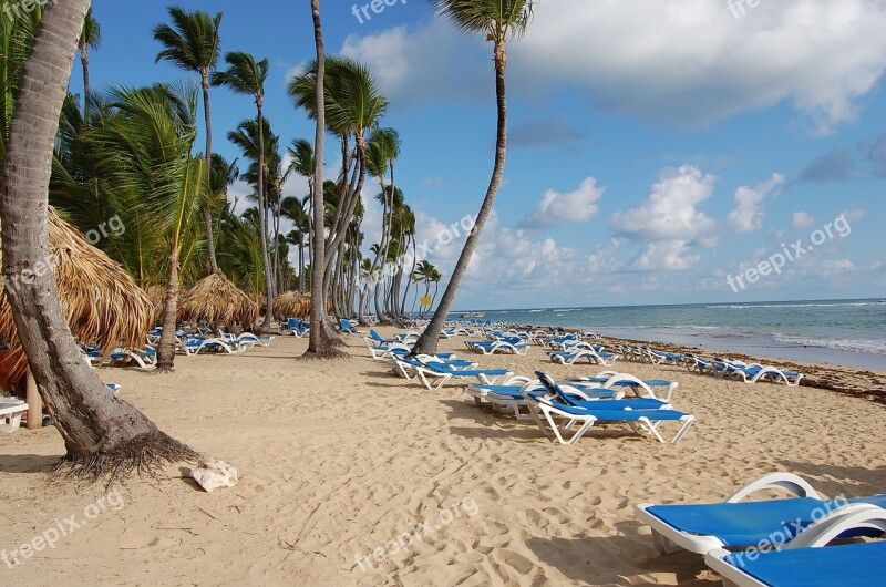 Punta Cana Caribbean Palms Hotel Nature