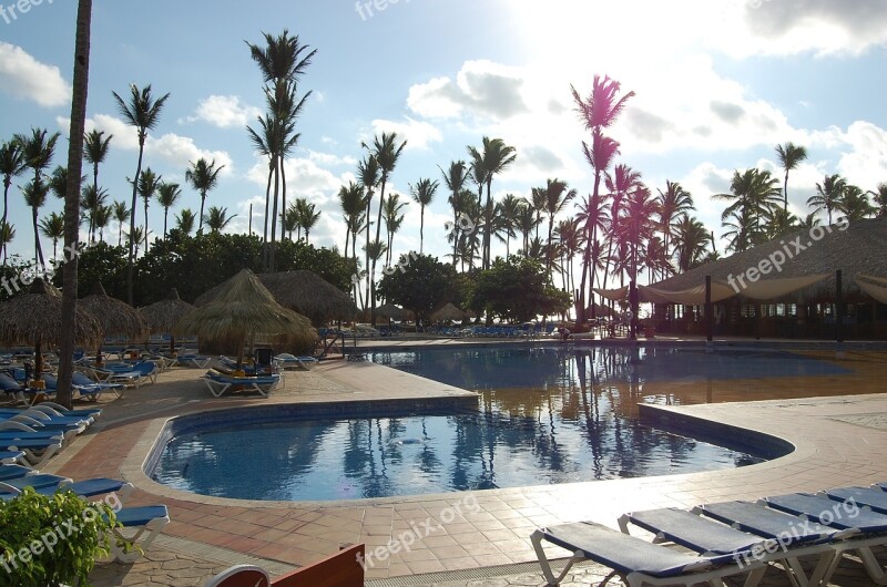 Punta Cana Caribbean Palms Hotel Nature