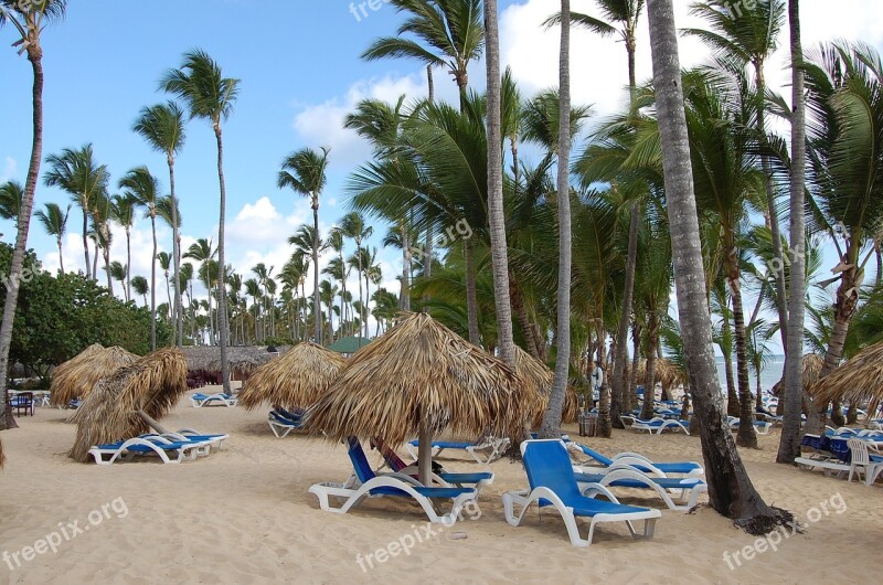 Punta Cana Caribbean Palms Hotel Nature