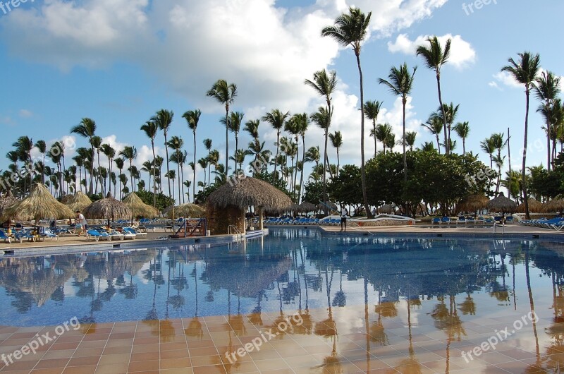 Punta Cana Caribbean Palms Hotel Nature