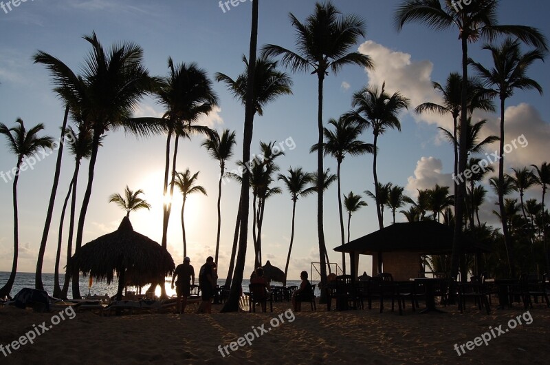 Punta Cana Caribbean Palms Hotel Nature