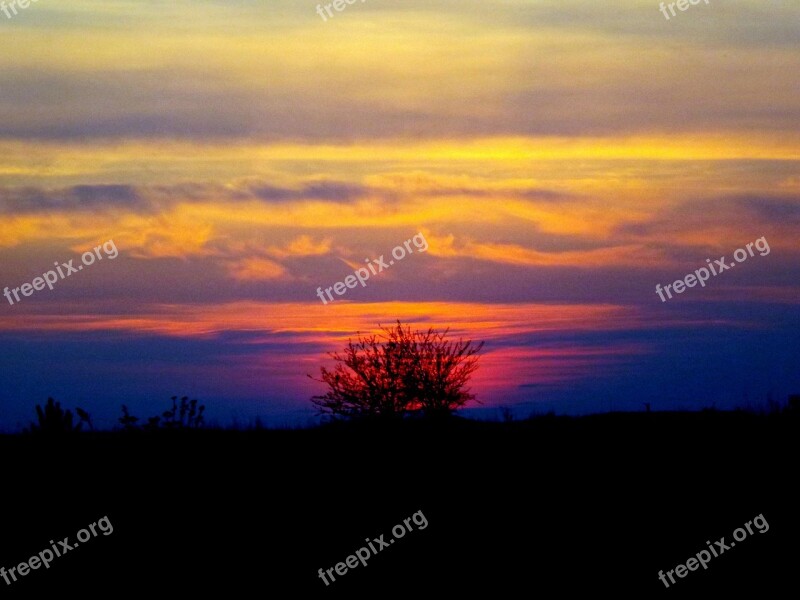 Sunset Tree Red Sky Fire