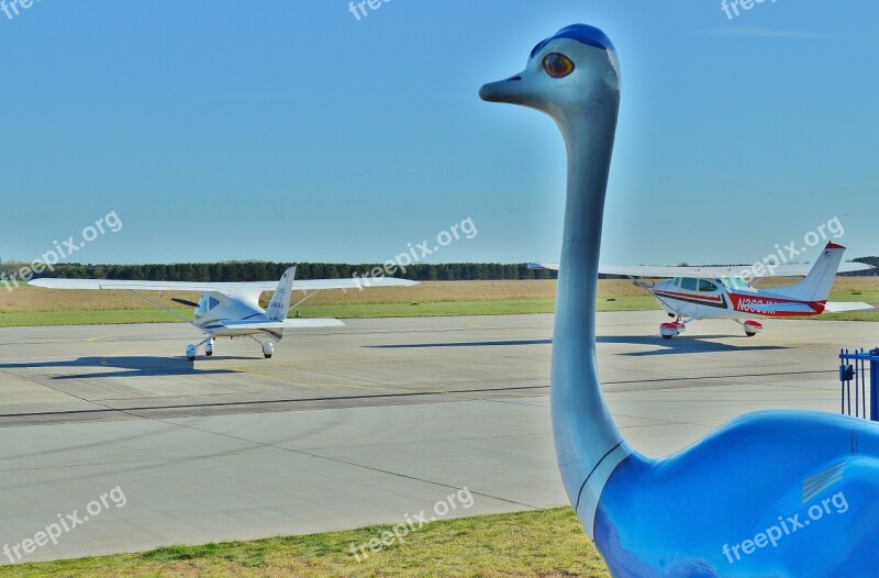 Airport Sport-piloting Aircraft Mascot Strauss Figure