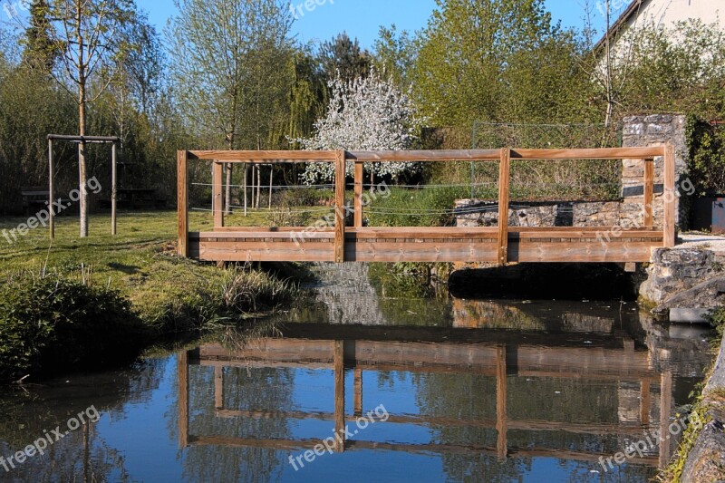 Bridge Wood River Tree Passage