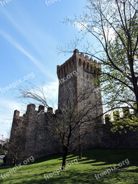 Torre Walls Green Tree Sky