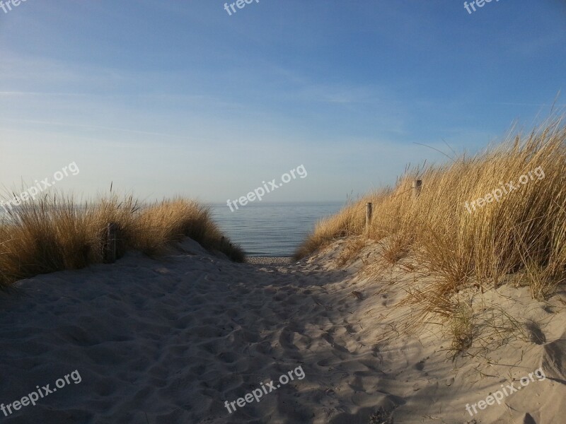 Baltic Sea Dunes Beach Free Photos