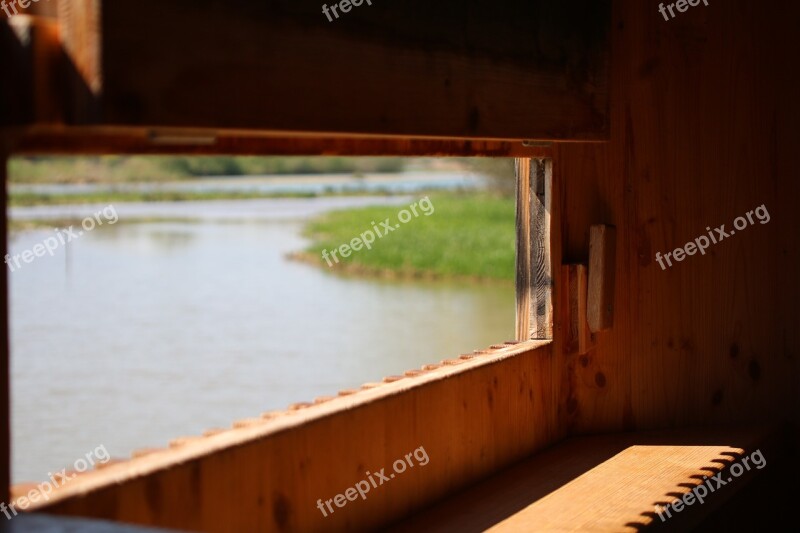 Log Cabin Hiding Place Wild Animal Luke Watch Experiences