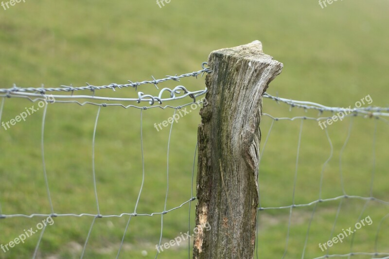 Pasture Fence Fence Post Fence Pile Wood Pile