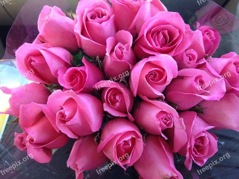 Pink Roses Flower Bouquet Floral