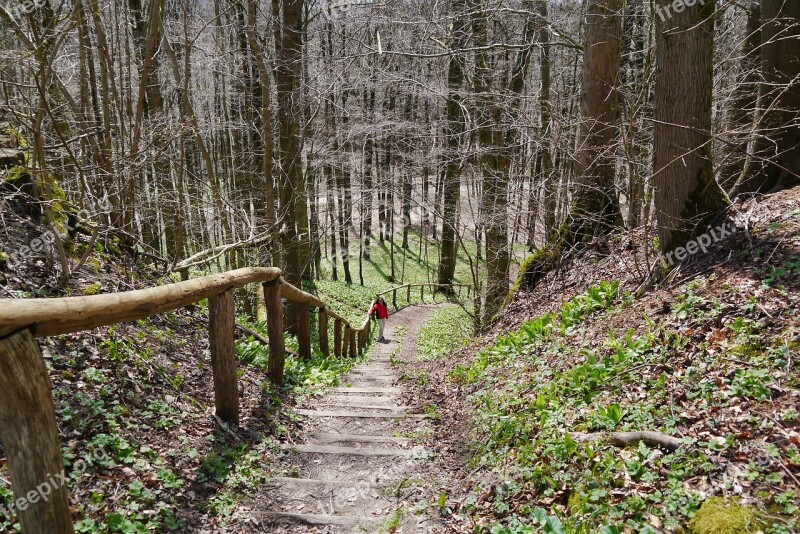 Reichenbach Stairs Increased Nature Forest