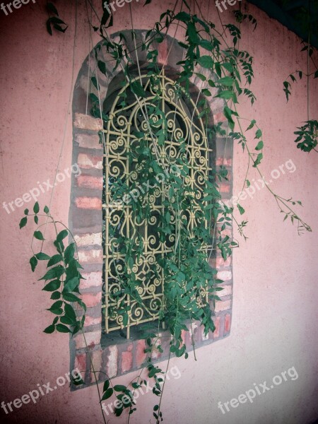 Majorelle Garden Morocco Marrakech Window Ornament