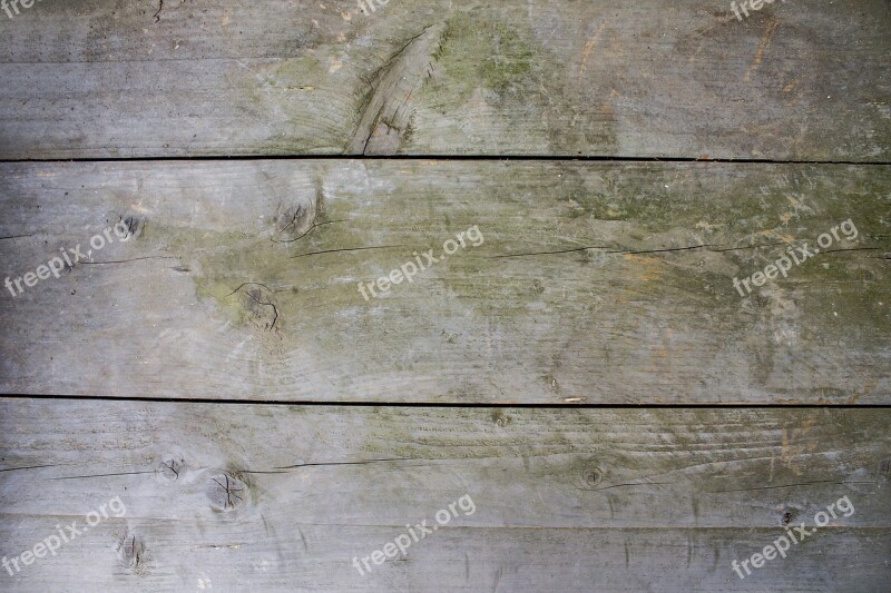 Wood Background Structure Tree Tree Rings