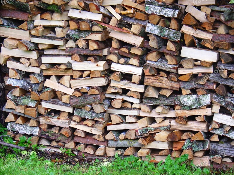 Nature Wood Pile Of Wood Green Tree