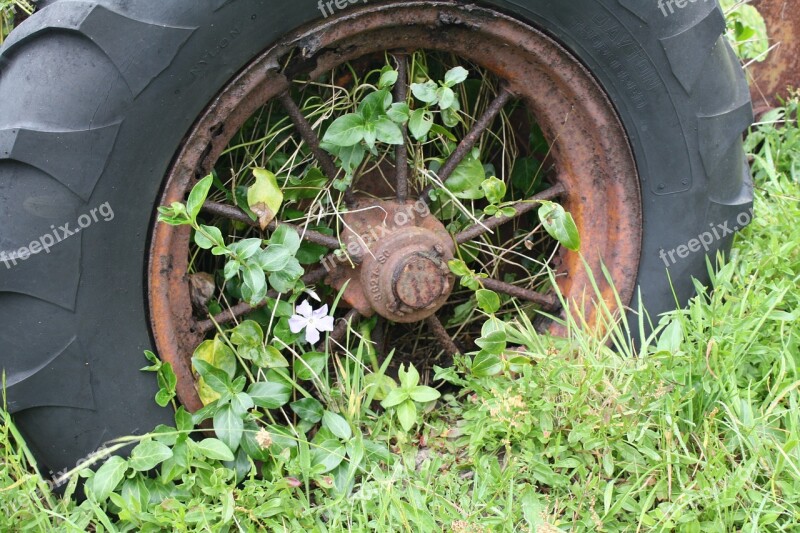 Wheel Weeds Overgrown Old Farming