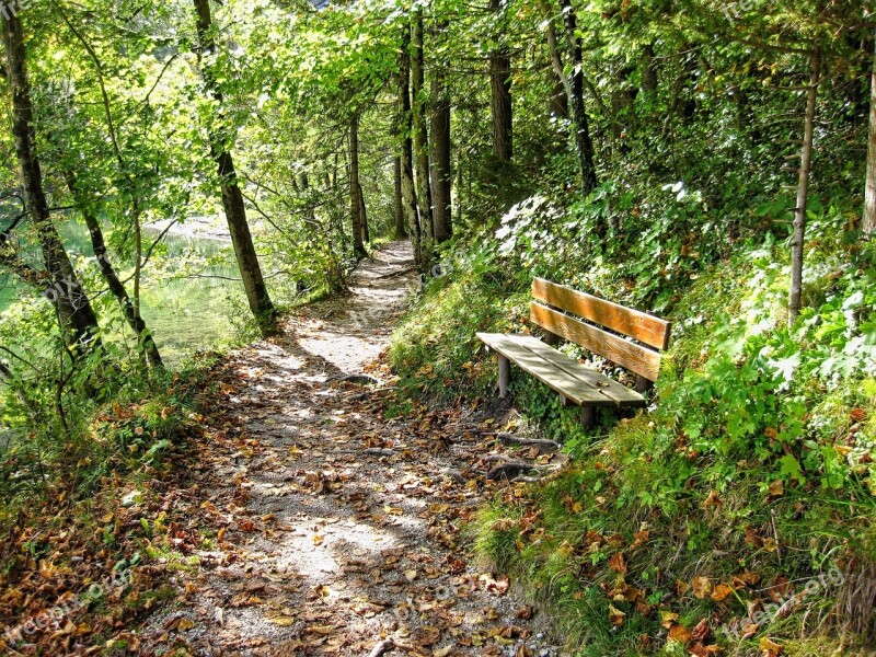 Bank Bench Seat Wooden Bench Resting Place