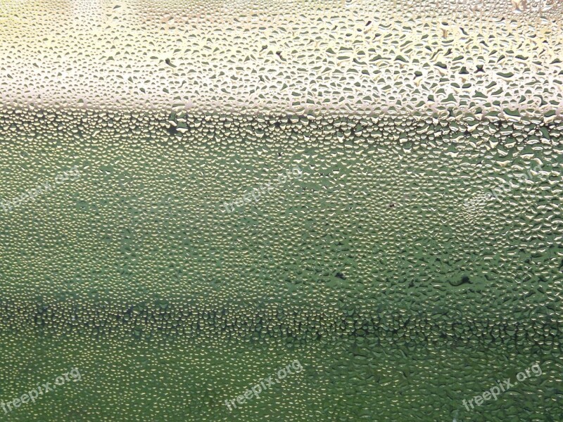 Window Rain Raindrop Drip Wet