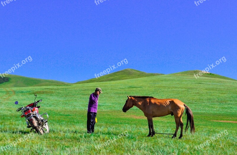 Countryside Steppes Nature Bike Horse