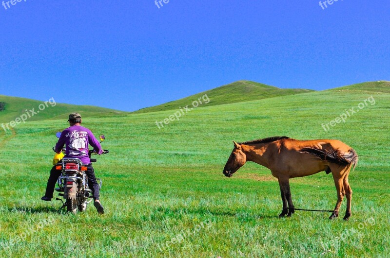 Countryside Steppes Nature Bike Horse