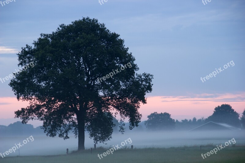 Nature Accelerating Fog Landscape Fog Free Photos