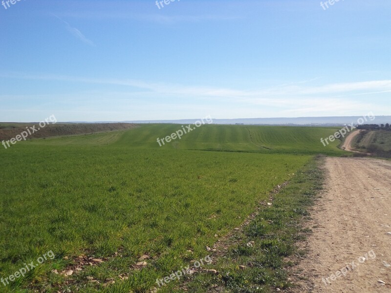 Barley Field Daganzo Madrid Spain Free Photos