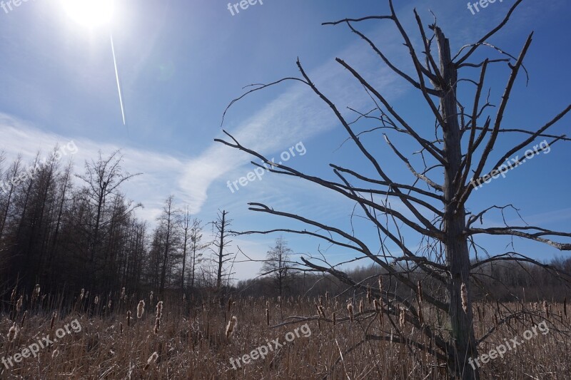 Nature Ottawa Outdoor Spring Landscape