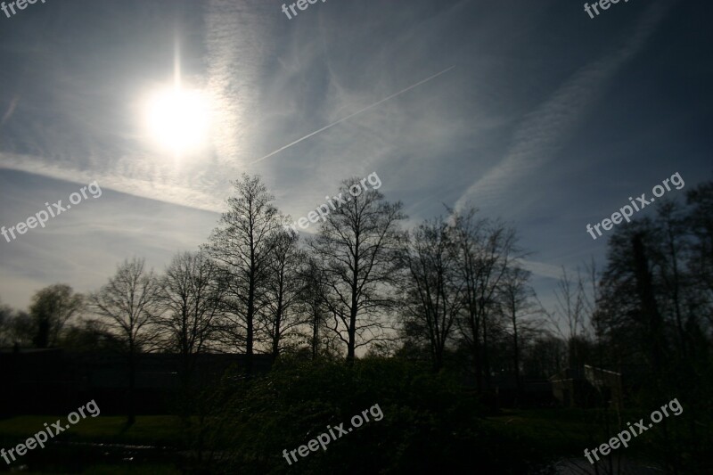 Air Sun Clouds Nature Tree