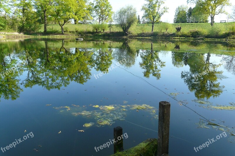 Pond Water Reflection Idyllic Mirroring Nature