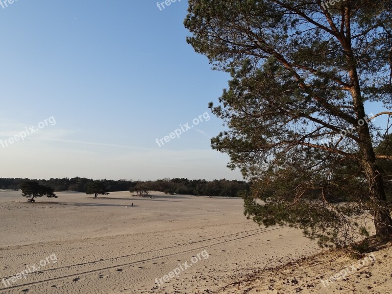 Nature Netherlands View Landscape Air