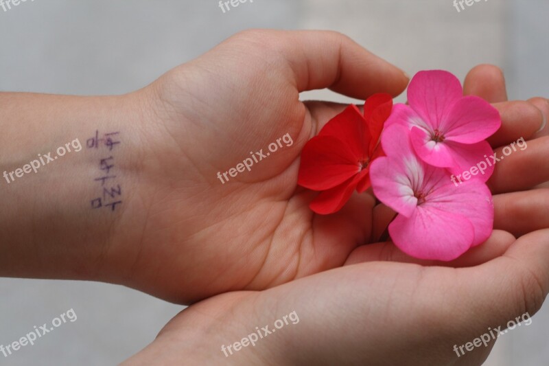 Spring Flowers Hands Pink Red