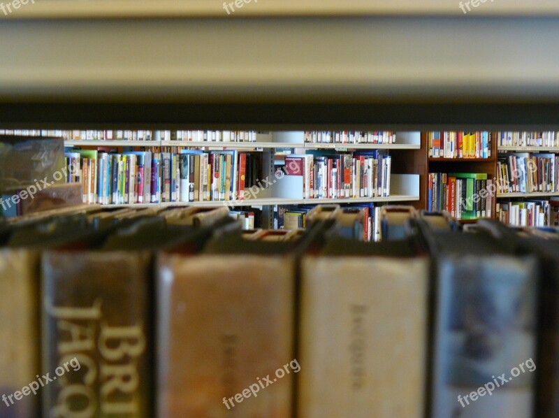 Library Public Library Books Shelves Bookshelf