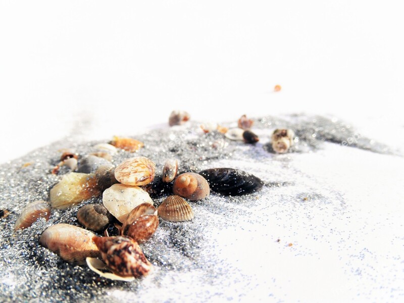 Tiny Shells Glitter Sand Small