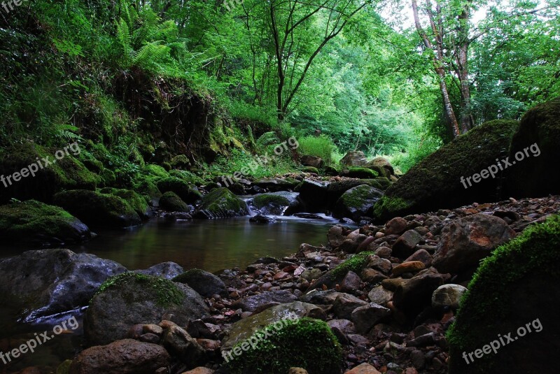 Cantabria Water Trail Brook Free Photos