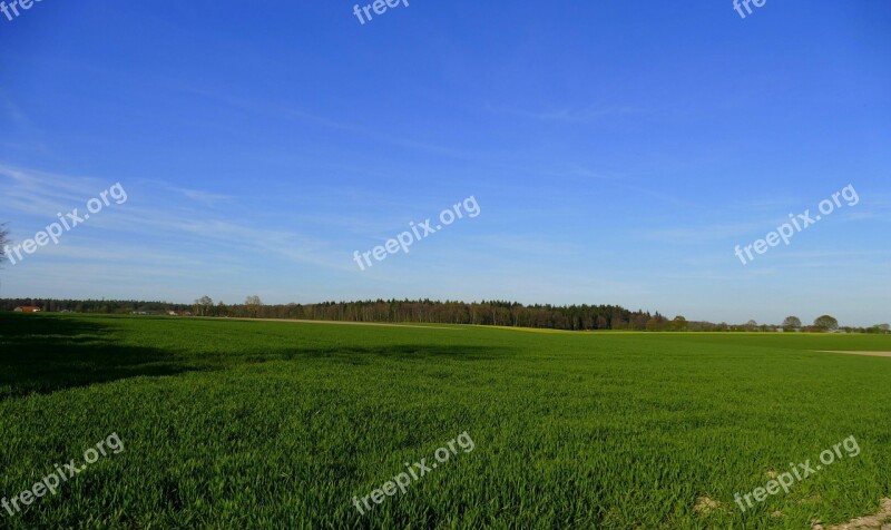 Niederrhein Landscape Reported Fields Forest