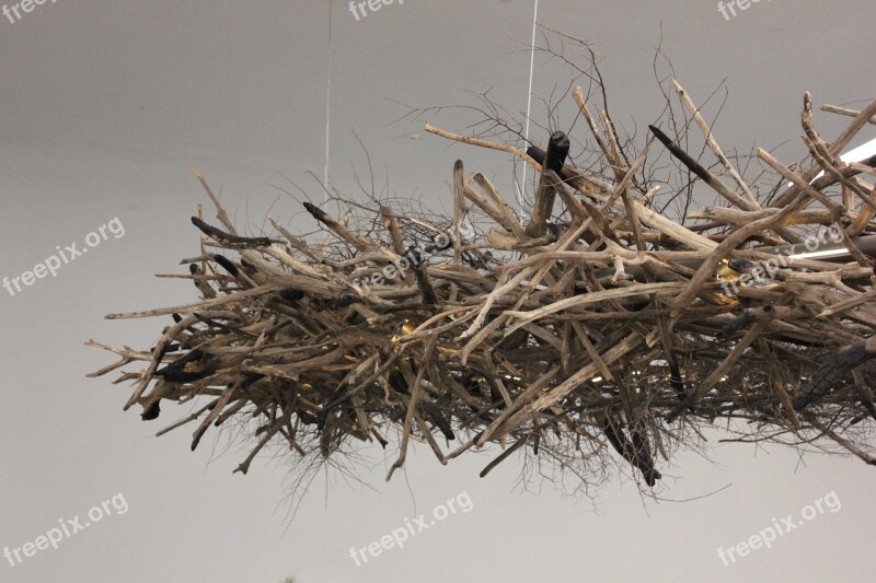 Nest Twig Wood Free Photos