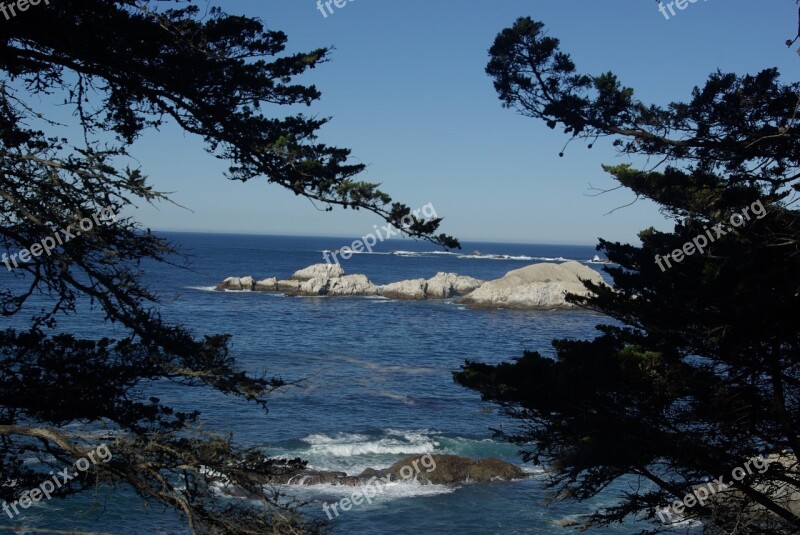 Scenic Silhouette Trees Coast View