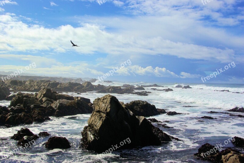 Talahi Coastal Coast Beach Waves