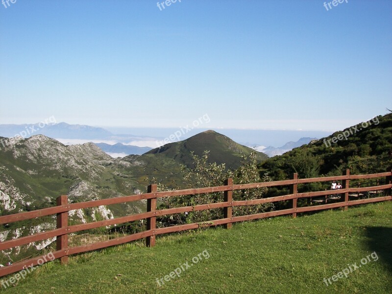 Prado Grass Nature Landscape Green