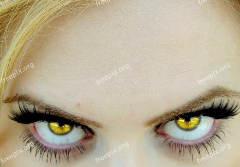 Eye Green Vampire Gene Free Photos