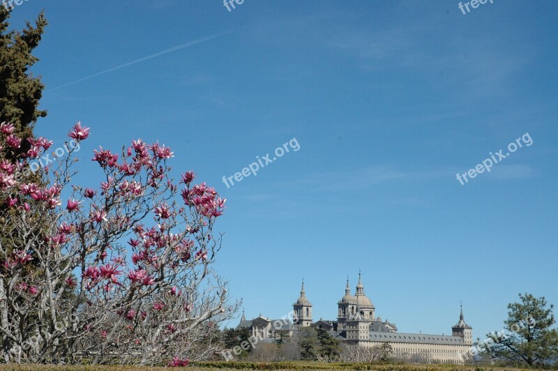 Monastery El Escorial Flower San Lorenzo Architecture