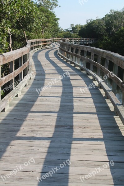 Trail Walkway Walk Scenery Hiking