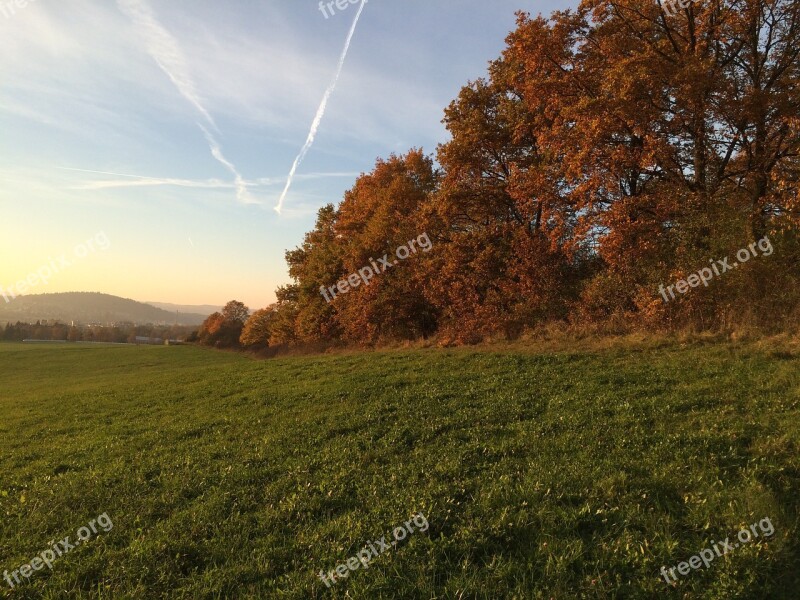 Nature Trees Autumn Field Sun