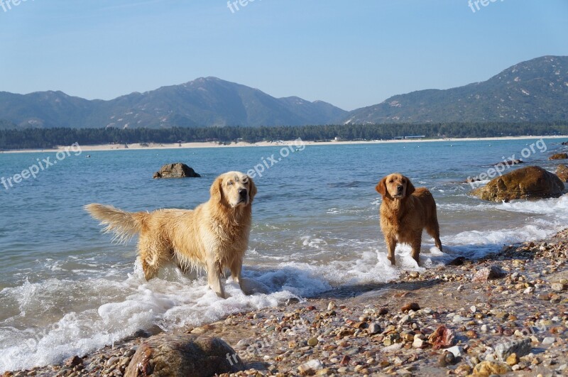 Beautiful The Waves Blue Sky And White Clouds Scene Free Photos