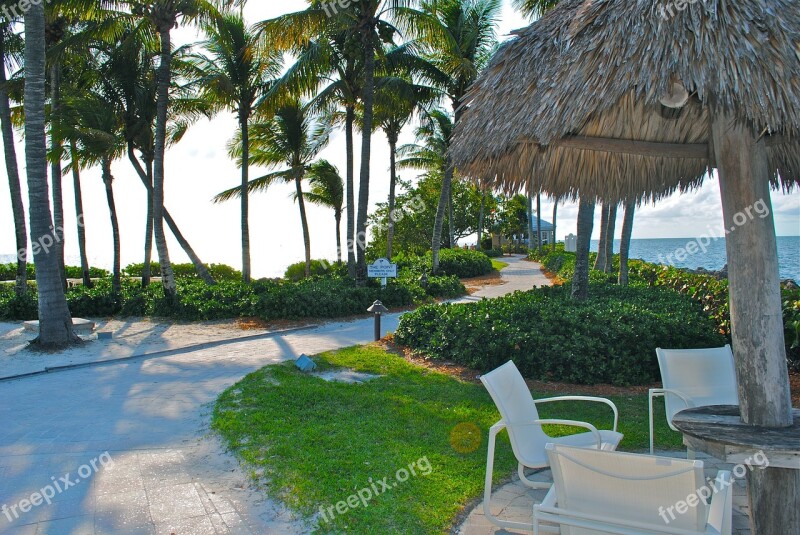 Palm Trees Resort Florida Keys Hotel Beach