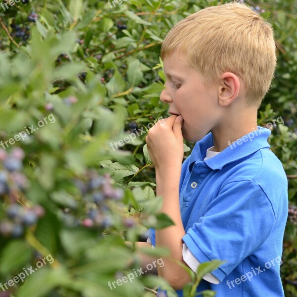 Boy Blue Blueberry Kid Fun